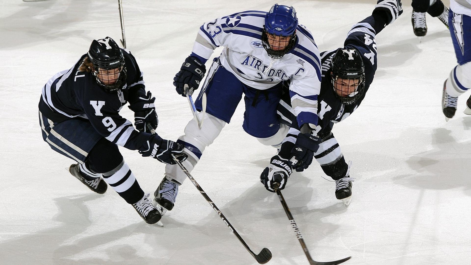 欧洲杯冠军争夺:双方拼尽全力的战场,欧洲杯冠军大热